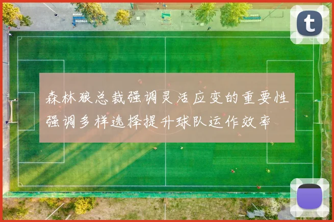 森林狼总裁强调灵活应变的重要性强调多样选择提升球队运作效率