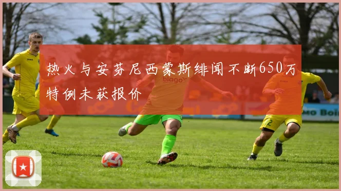 热火与安芬尼西蒙斯绯闻不断650万特例未获报价