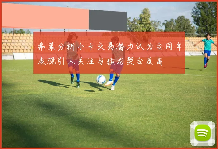 弗莱分析小卡交易潜力认为合同年表现引人关注与猛龙契合度高